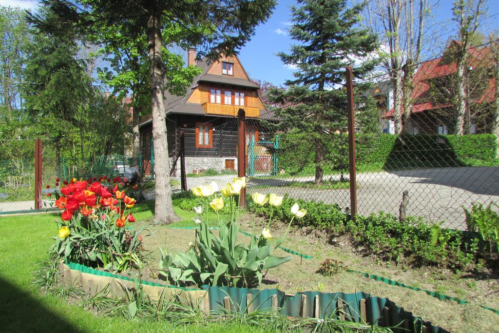Willa Dewajtis Bed & Breakfast Zakopane Bagian luar foto