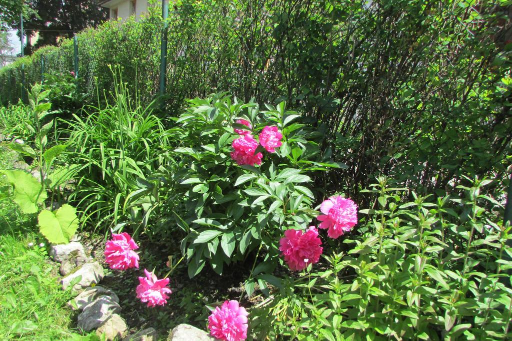 Willa Dewajtis Bed & Breakfast Zakopane Bagian luar foto