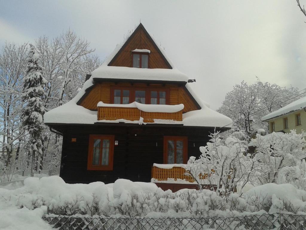 Willa Dewajtis Bed & Breakfast Zakopane Bagian luar foto