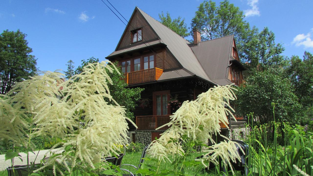 Willa Dewajtis Bed & Breakfast Zakopane Bagian luar foto